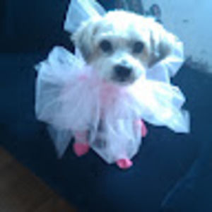 Meet your Posher, Kimberly